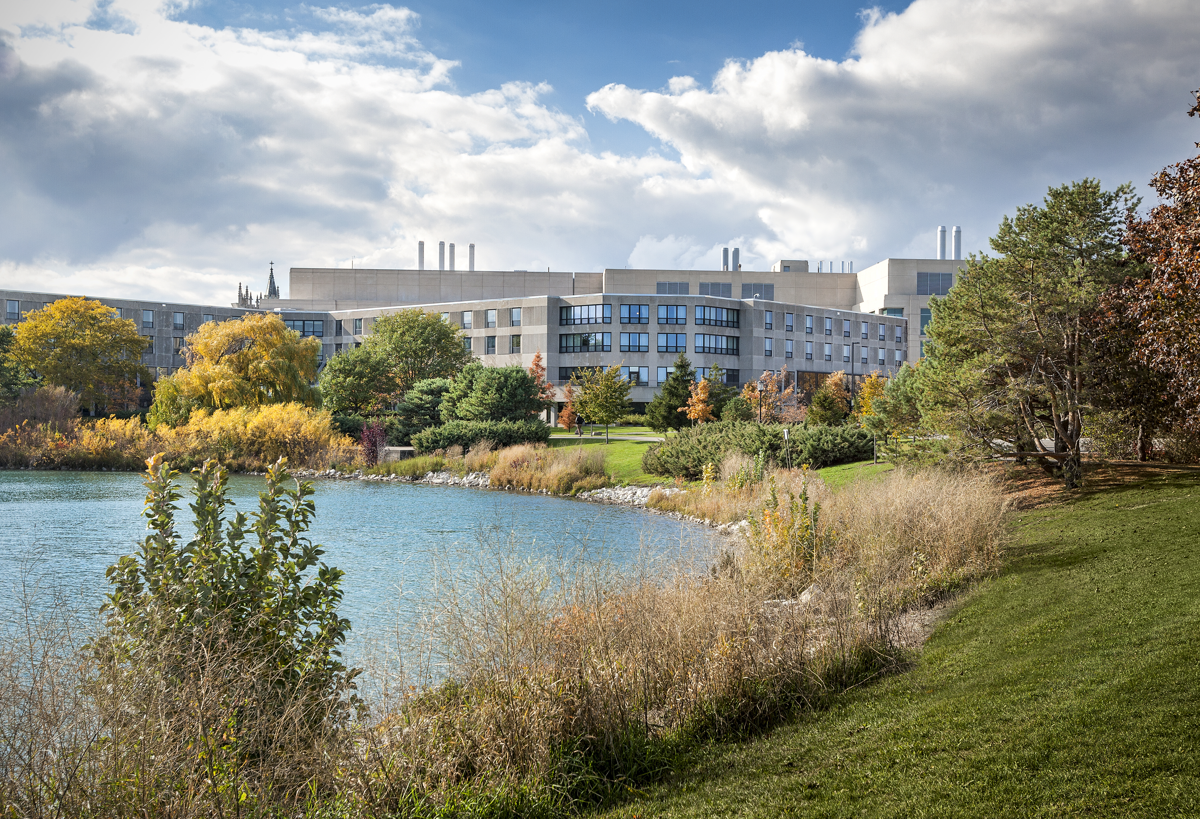 Allen Center landscapes by Mike Crews.